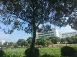 2017-09-12_13-06-26_AB377081-DBF7-4B0A-9C4D-796109B2B0D6.jpg