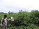 824320-shrubland-iucnb.jpg