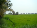 9197DSC00797.JPG