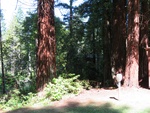 2017-07-03_18-42-57_40.798697N 124.038097W West.JPG