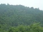 2012-09-08_19-26-12_RIMG0071.JPG