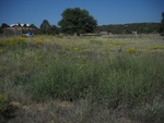 2017-09-08_17-48-19_DSCN0071.JPG