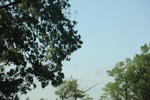 2022-05-26_14-15-30_85BDE034-4D44-43BC-A0C9-A3C46A5F207D.jpeg