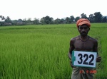 74710323a-irrigated-canal-rice-doublecrop.jpg