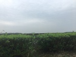 2017-09-10_06-50-59_9EE551D1-9679-4D1E-B1AD-FC45B3B6F1B8.jpg