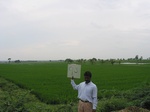9433gt93b_cropland_rice.gif