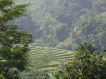 13970IMG_4266.JPG