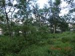 2012-09-26_20-48-12_CIMG1113.JPG