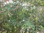 5845100_1510.JPG