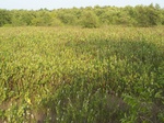 1716319042008(79).JPG