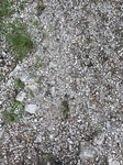 2017-05-30_05-24-18_A5894110-E99C-4B7A-A629-4911864BAF5F.jpg