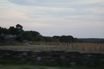 2022-06-12_15-25-20_114498C8-2034-4606-BF39-F496C695545F.jpeg