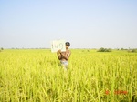 6708gt149-cropland-1.jpg