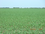 2012-08-30_11-29-26_CIMG0911.JPG