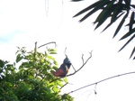 2012-10-17_20-58-44_421.JPG