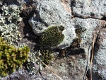 2017-06-12_12-55-17_DSCN3648.JPG