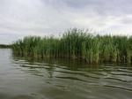 38563CIMG0092.JPG