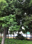 2017-09-10_08-38-38_AD32982B-BD2A-43AE-83E4-9FECAAD31393.jpg