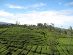 13642IMG_3903.JPG