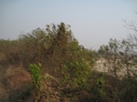 8477IMG_0302.JPG