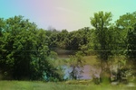 2022-05-26_14-22-10_8184C169-8598-4AF4-9A9B-CE842E796C28.jpeg