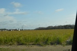 2021-02-02_12-28-00_DSC_0066.JPG