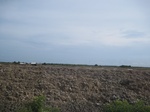 15549IMG_4619.JPG