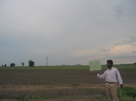 9884gt116b_farmfallow_fallow.gif