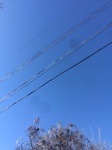 2020-11-17_15-03-00_2020-11-17-14-59-15.jpg