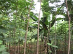 14549IMG_4915.JPG