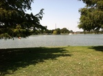 2012-09-14_22-25-20_TX-CLL-26-4.jpeg
