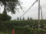 2017-09-12_13-35-46_E042F813-A980-4C65-A7A5-8E4F9673C283.jpg