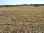 39229KIN220110809E.JPG