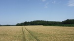 2016-07-25_03-26-58_DSCF1737.JPG