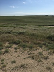 2017-05-29_09-51-06_C932CFBC-D0D7-4E1C-8616-7D6F1B45F478.jpg