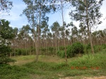 2012-09-26_20-49-49_CIMG1055.JPG