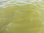 2012-09-21_14-27-04_CIMG0110.JPG