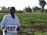 70610197a-irrigated-supplemental-groundwater-tubewell-mixedcrop-maize-turmeric-chilli.jpg