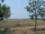 1784326042008(23).JPG