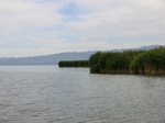 38556CIMG0084.JPG