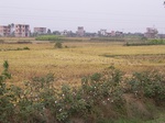 3277R0017311.JPG