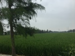2017-09-10_07-08-33_E7F05393-3D94-47E4-9424-E1790A8419DF.jpg