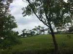 2017-09-12_12-55-34_49BB0880-CDE5-45A3-88CD-C3F6BD495515.jpg