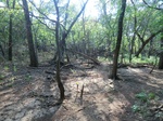 2012-09-21_16-12-34_CIMG2977.JPG