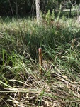 2012-09-24_10-40-15_DSC03140.JPG