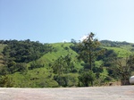5729100_1308.JPG