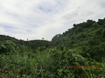 2012-09-26_20-49-17_CIMG0995.JPG