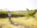 6470gt014-grassland-1.jpg