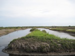 15548IMG_4618.JPG