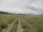 37148CIMG0945.JPG